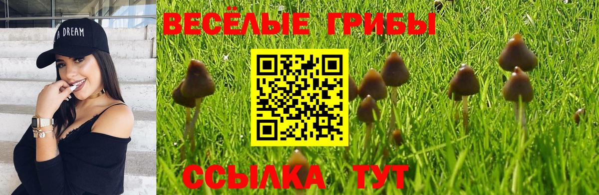 Псилоцибиновые грибы ЛСД  Вход с VPN  Ирбит 