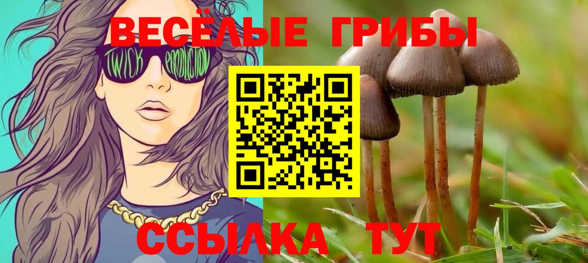 Ирбит  Вход с VPN  Гашиш  Гашиш  Купить наркоту  Codein  МЕФ кристаллы  Кокаин 
