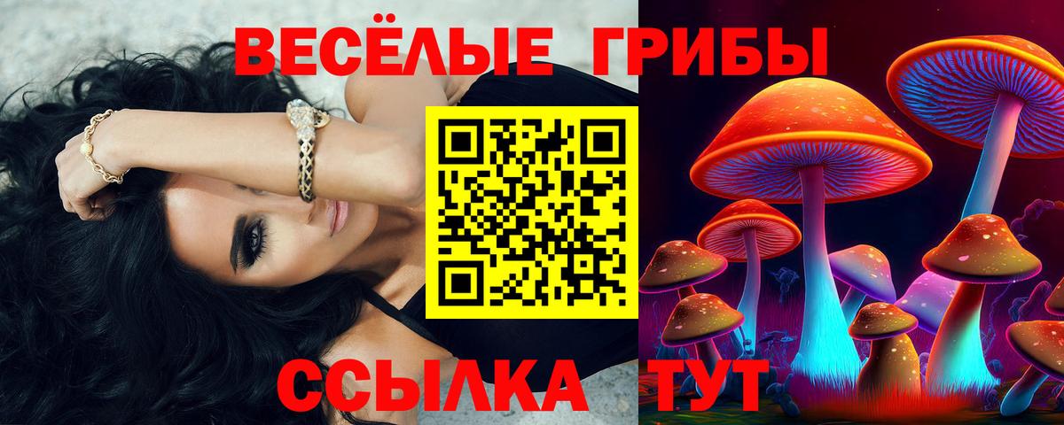 Псилоцибиновые грибы Psilocybine cubensis Ирбит